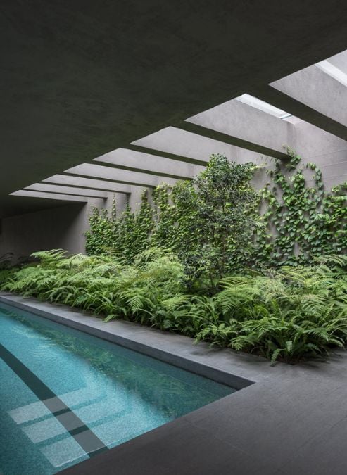 This segment of the swimming pool area highlights the striking vegetation design, which adds a sense of natural beauty to the outdoor space.