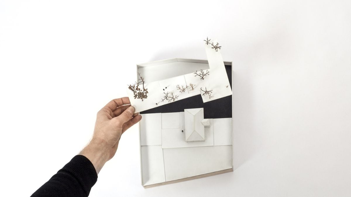 This photograph captures a man holding miniature trees against a white background.