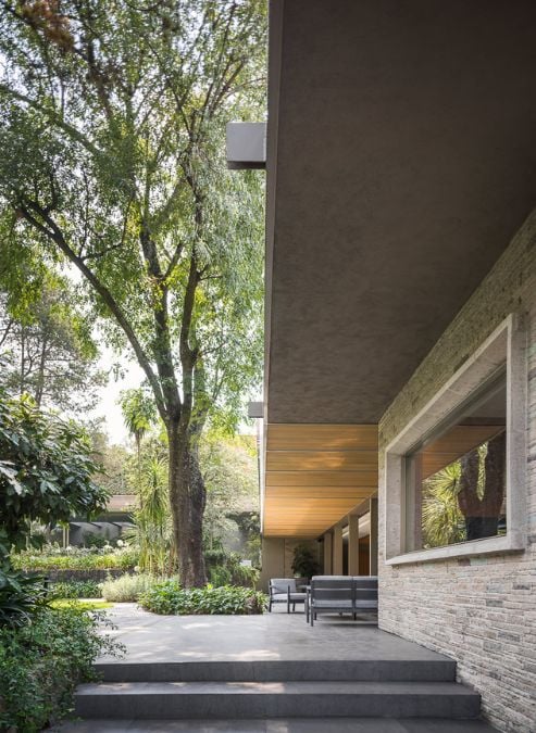 This picturesque outdoor view showcases a concrete walkway leading to a charming residence, surrounded by lush vegetation and a magnificent mature tree.