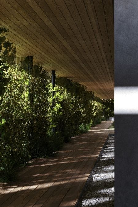 the wooden deck is surrounded by lush green plants.