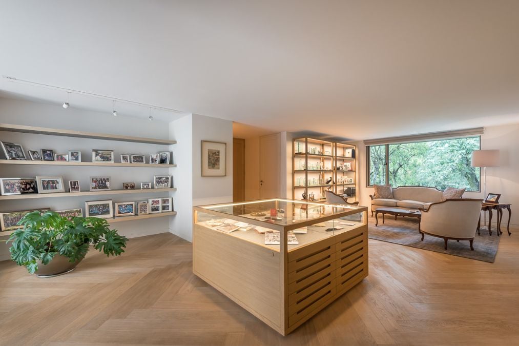 This photo features a particular room filled with an abundance of shelves and an accompanying plant, creating a warm and inviting atmosphere.