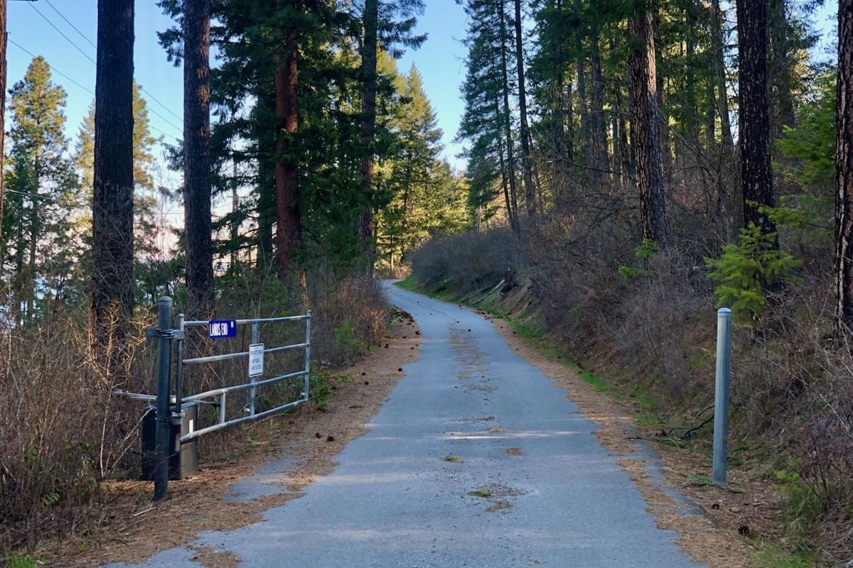 The trees give shades to the Private Maintained Road, giving off a cool atmosphere.