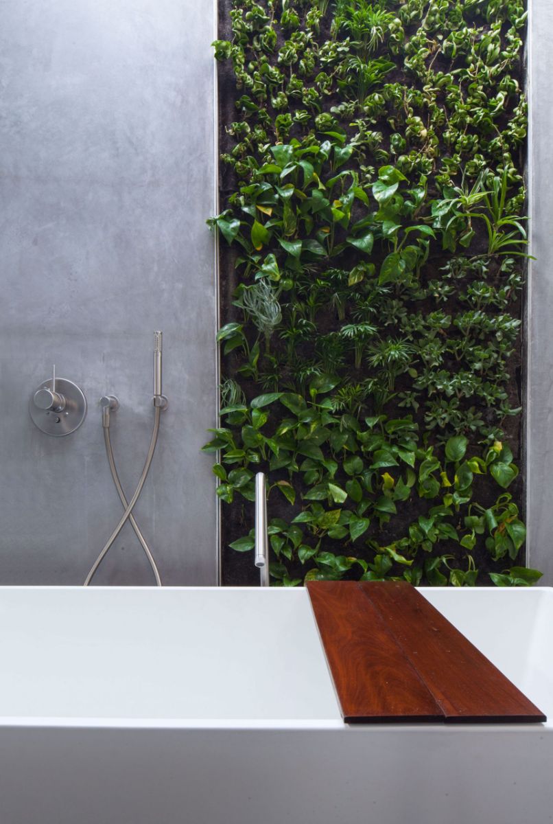 The shower area with creeper plants adds a natural feel to the interior.