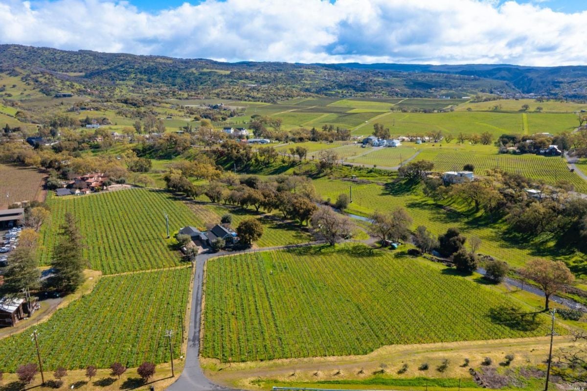 Aerial view of the estate.