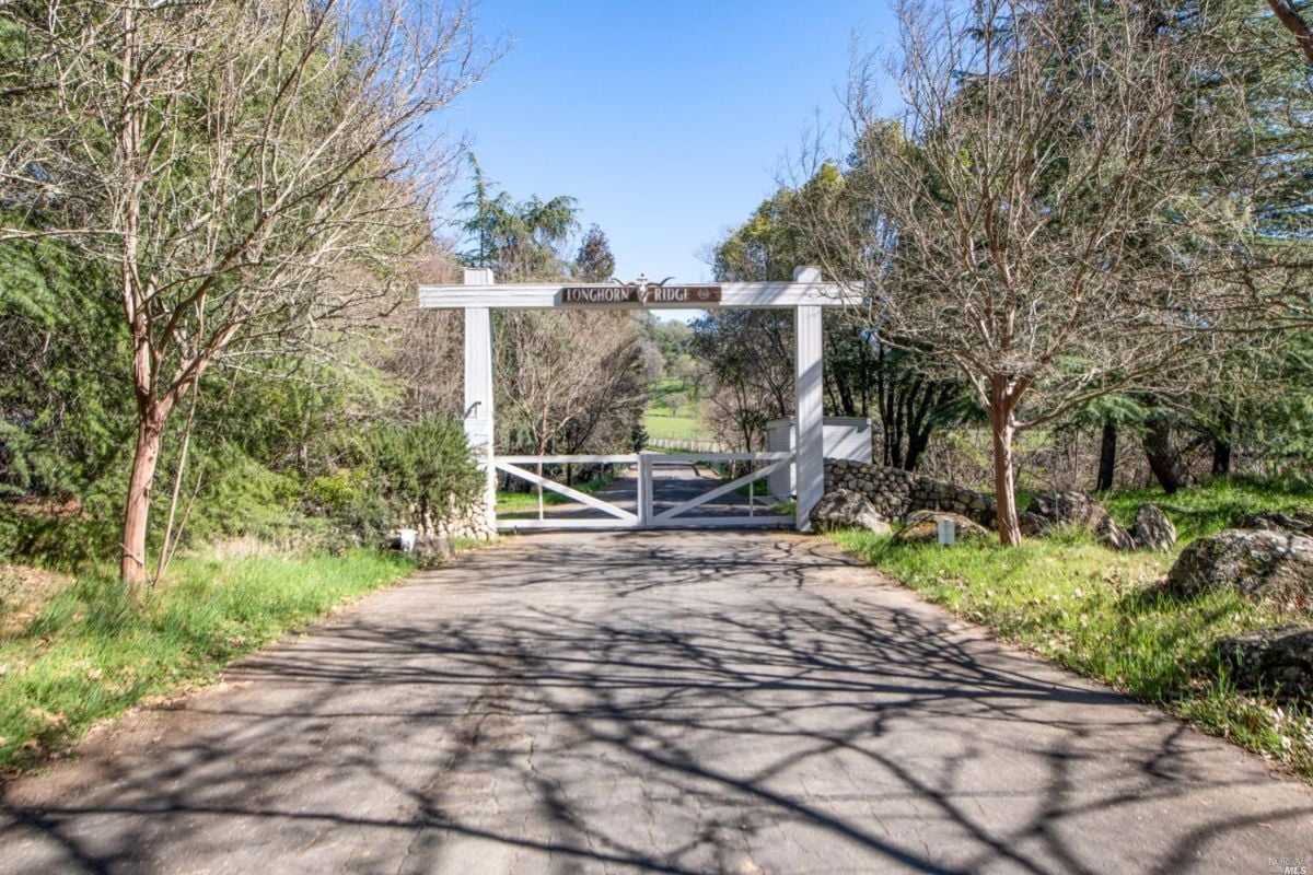 Gate and driveway leading to the house.