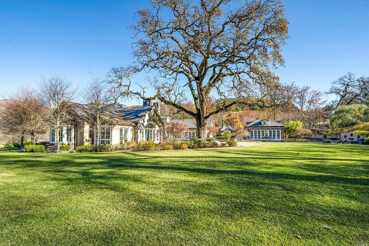Large yard with a large tree.