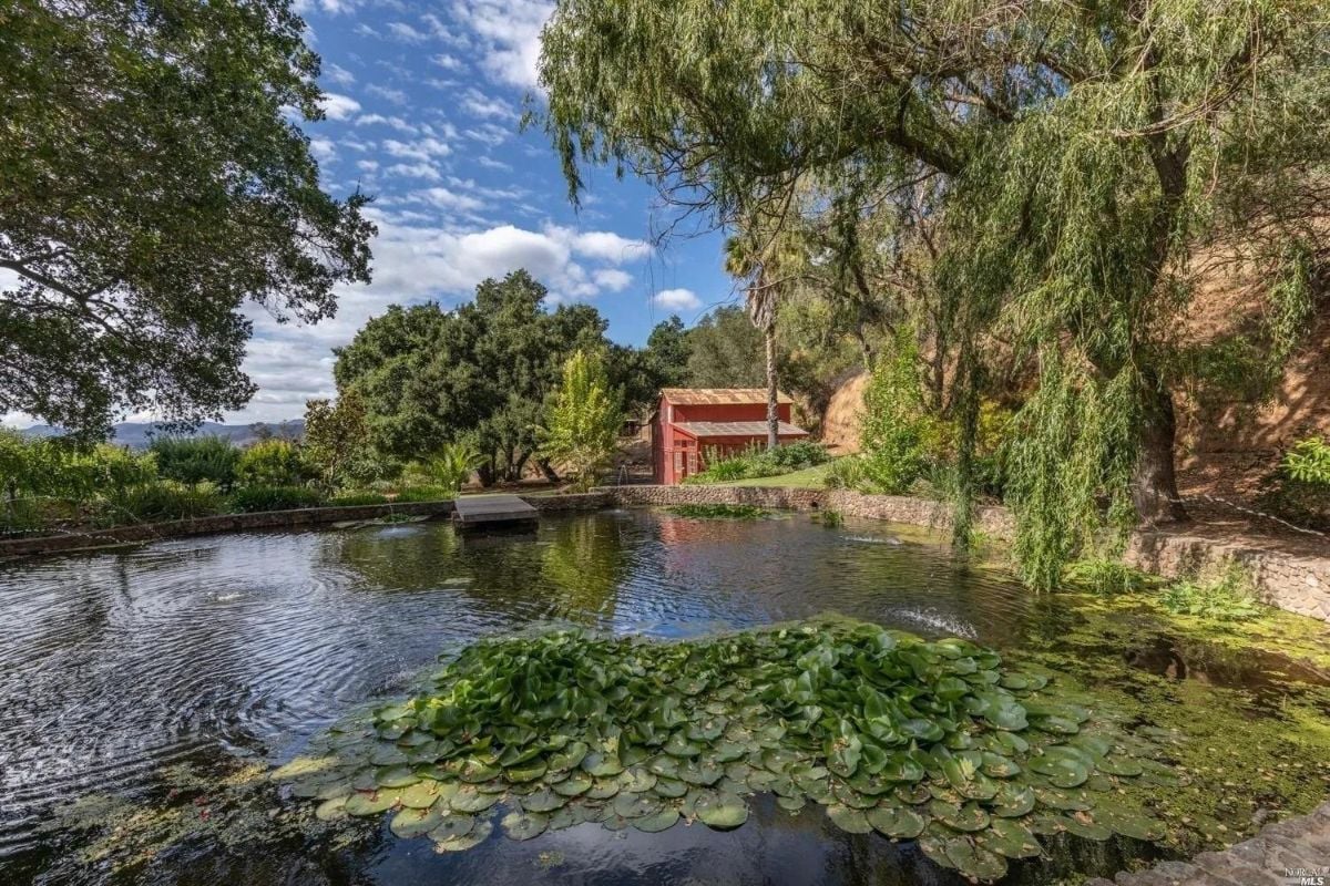 Pond with water lilies and a red barn in the background.