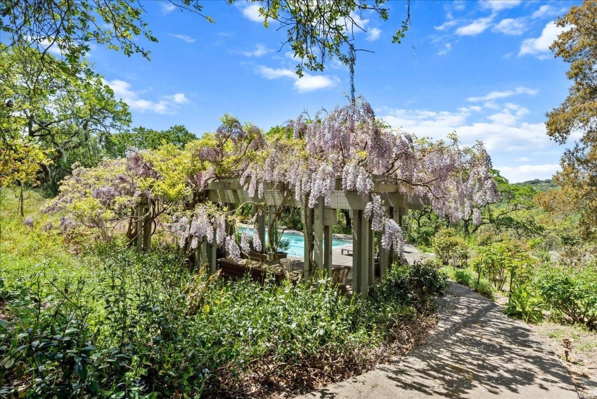 Garden with flowers near the pool.
