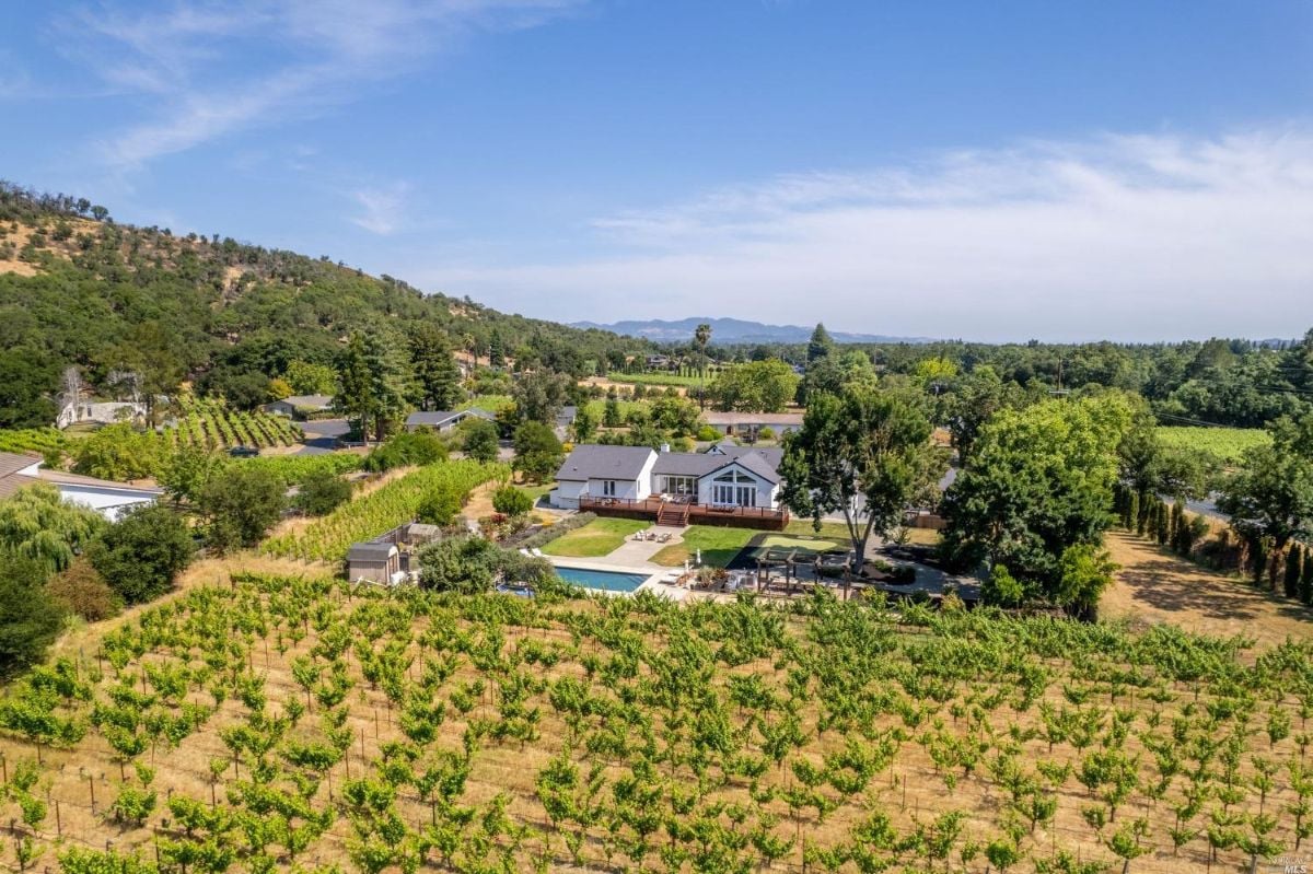 Aerial view of the estate.