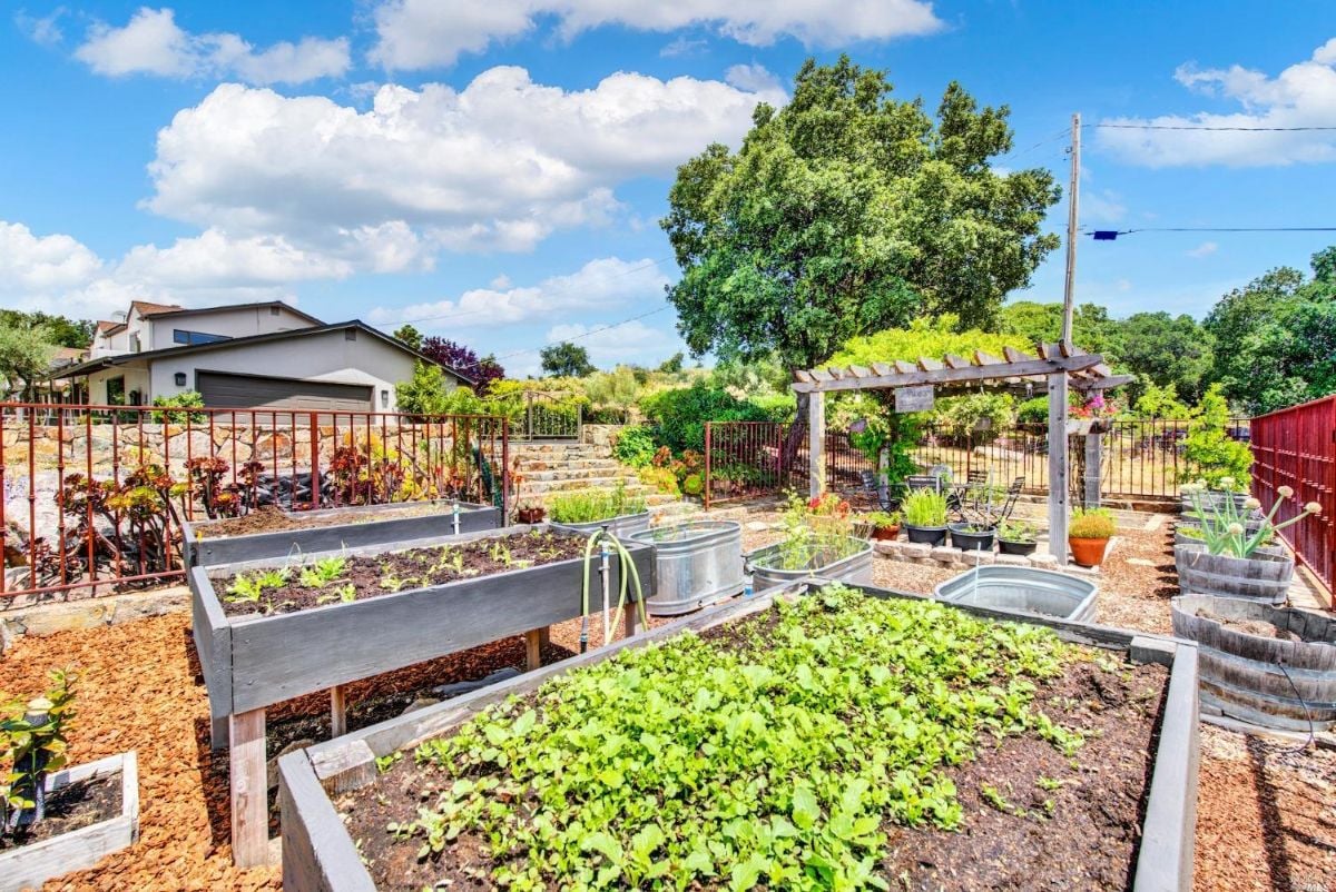 Garden with raised beds.