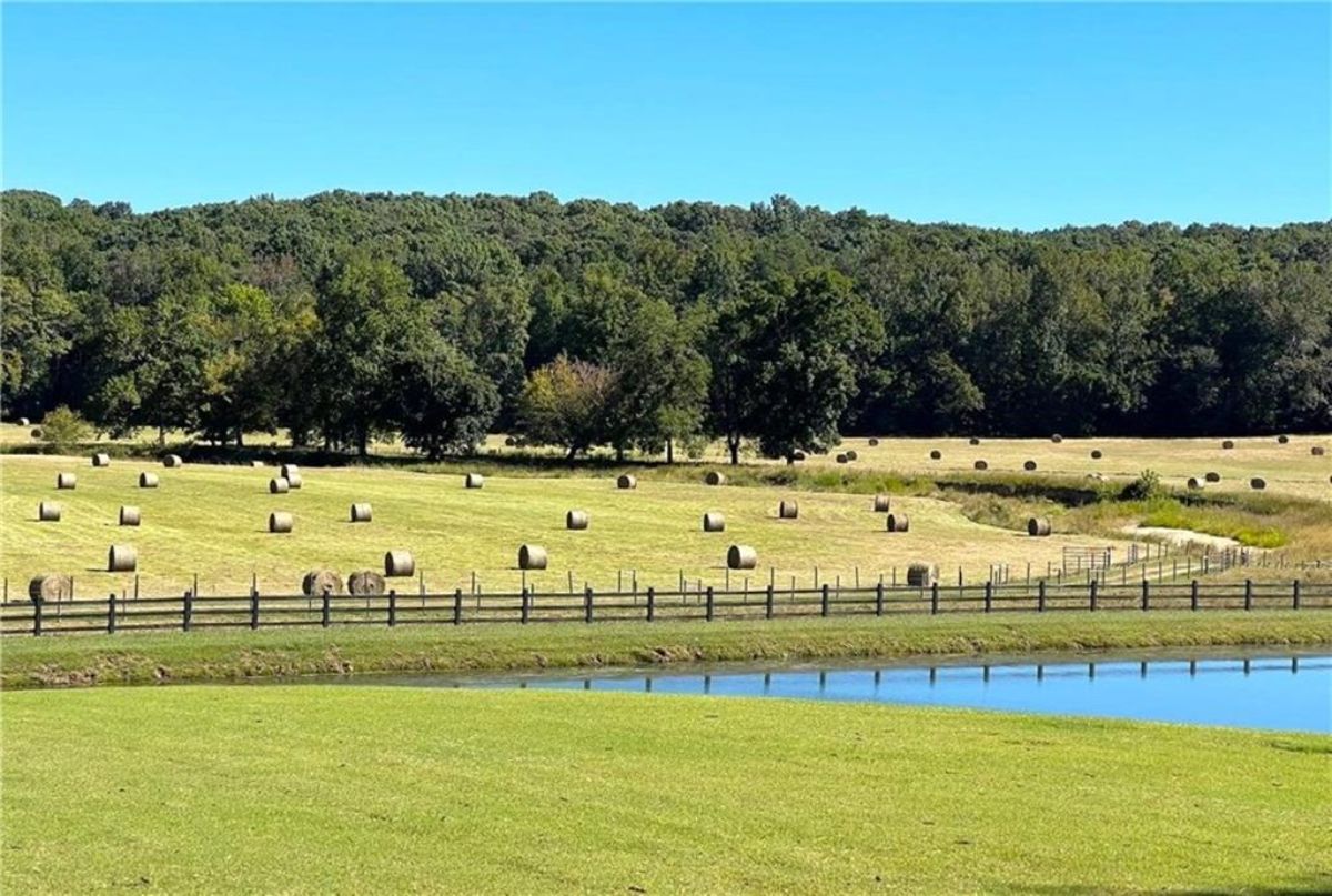 Hay field