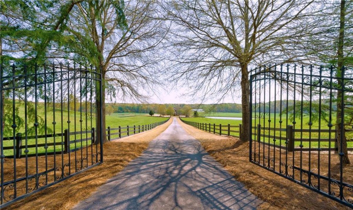 Wooded plain road.