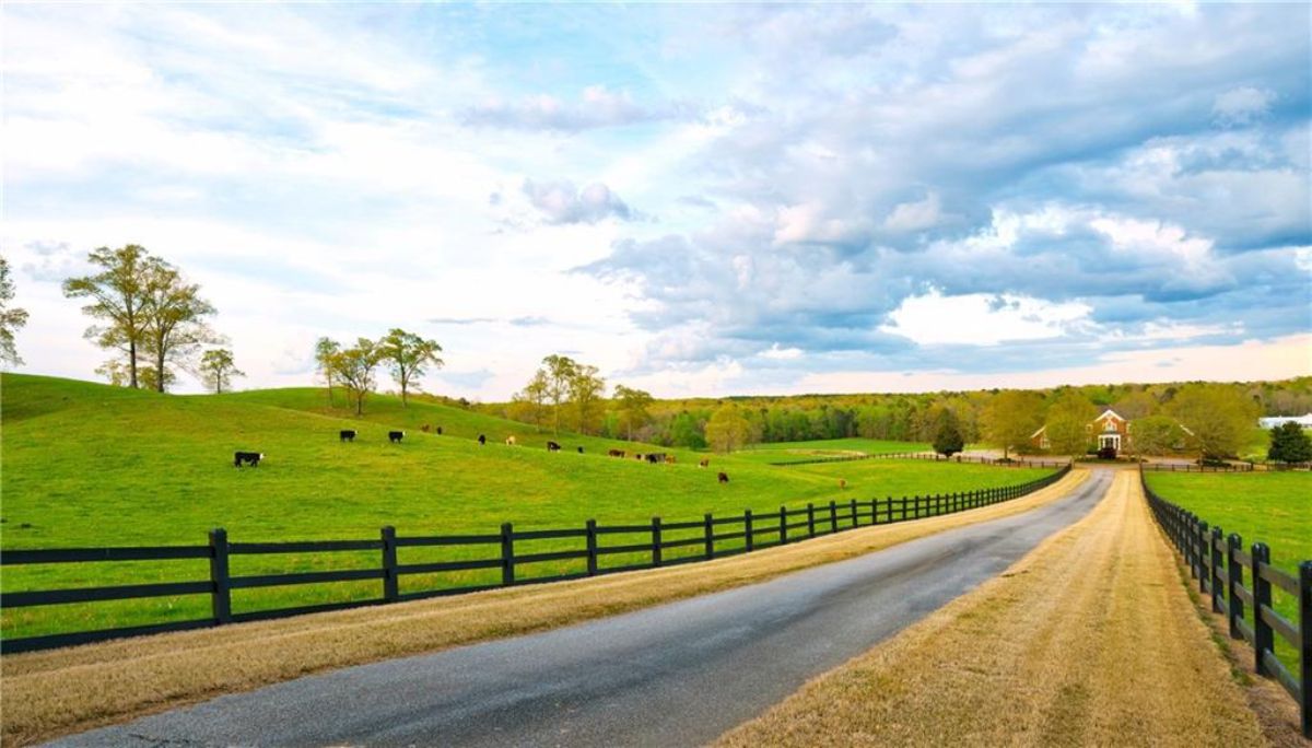 Pasture
