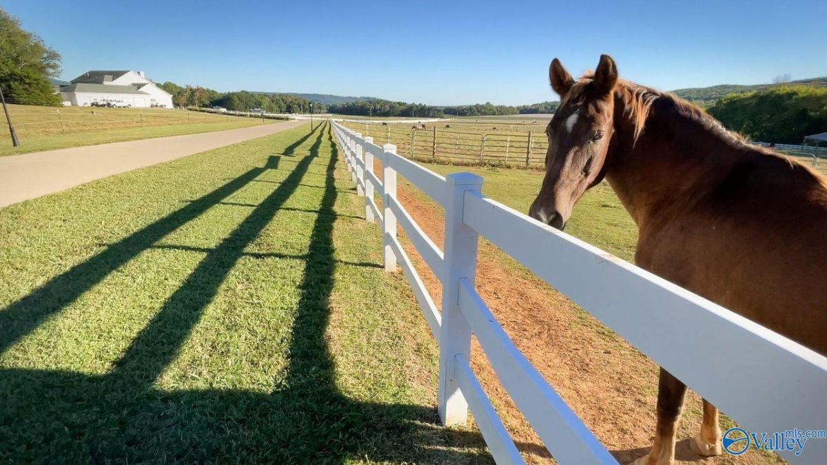 Horse stable