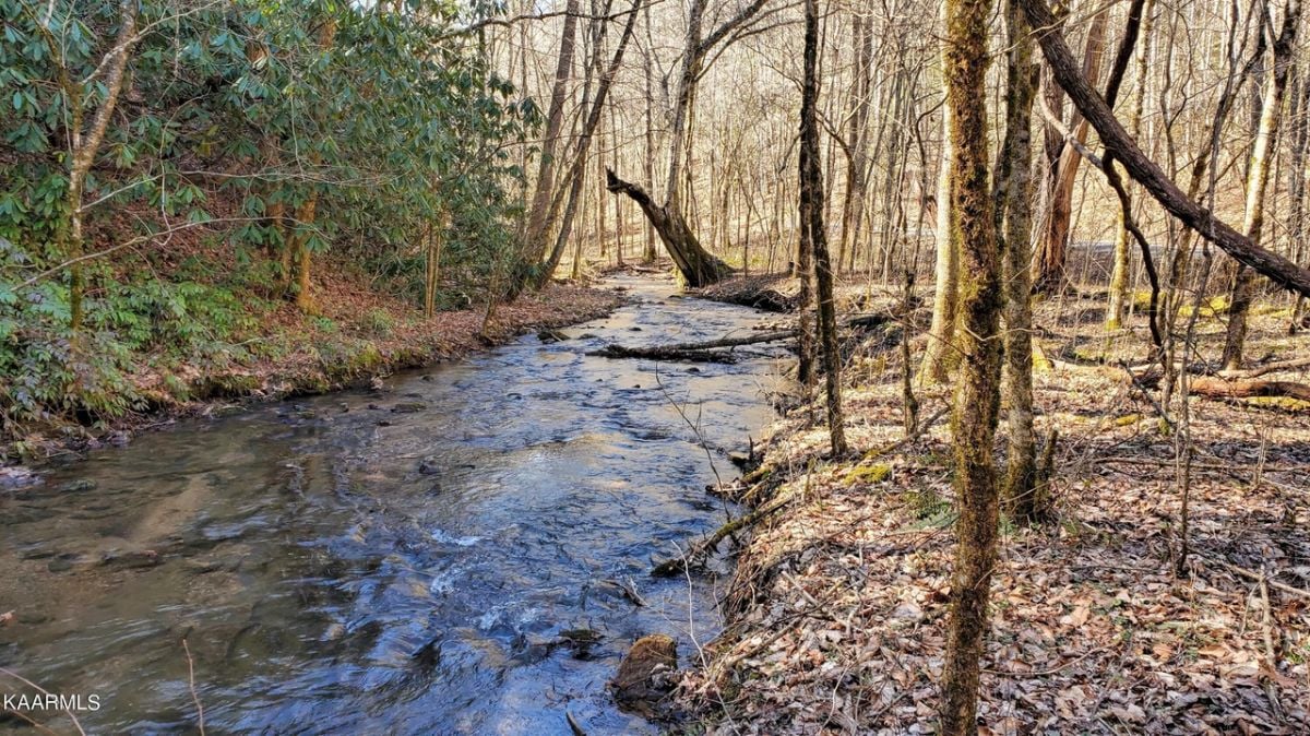 Stream
