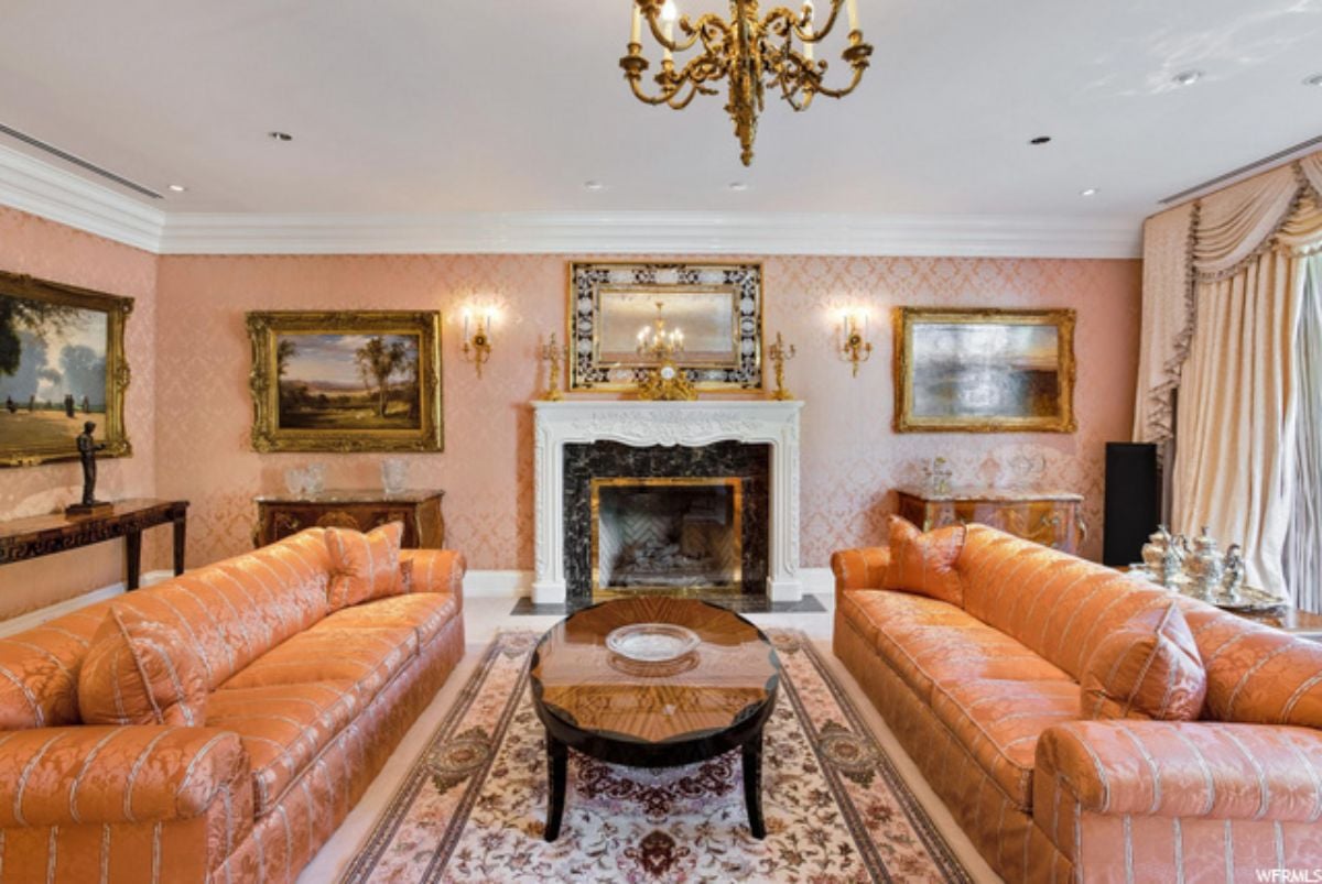 Living room's fireplace.
