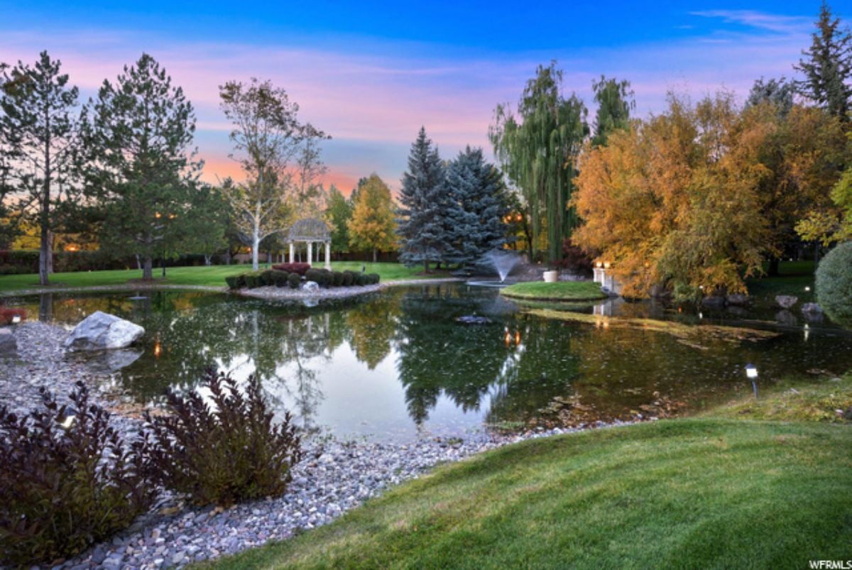 Pond