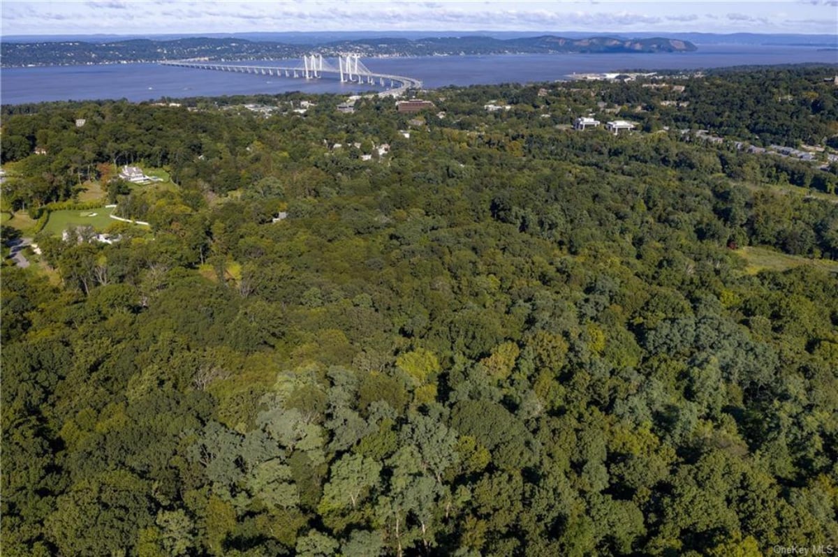 Aerial view of the nearby tree-filled land
