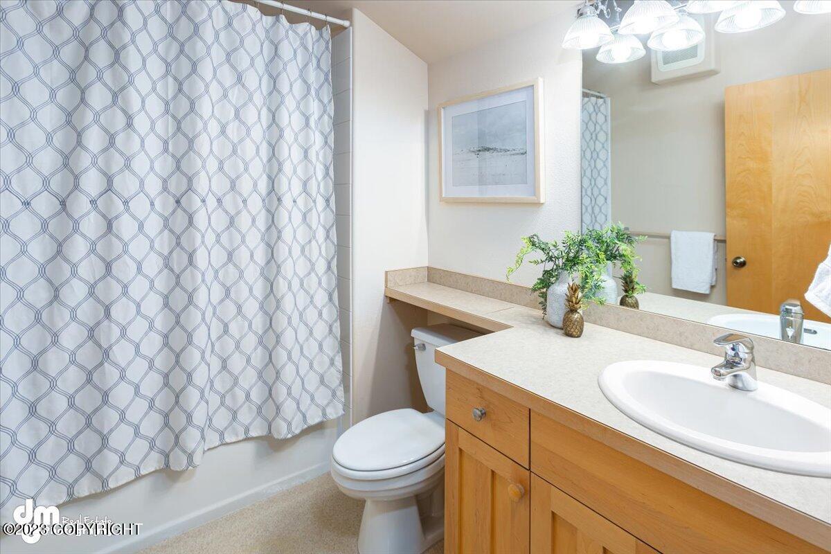 Toilet and sink.