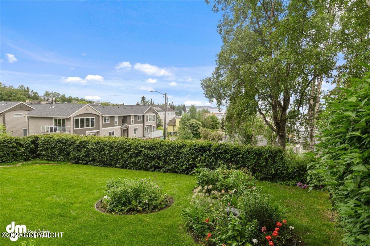 A yard with a green lawn and trees.