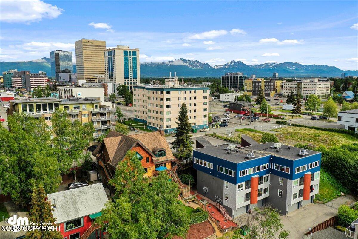 Aerial view of the backyard with a view of downtown.