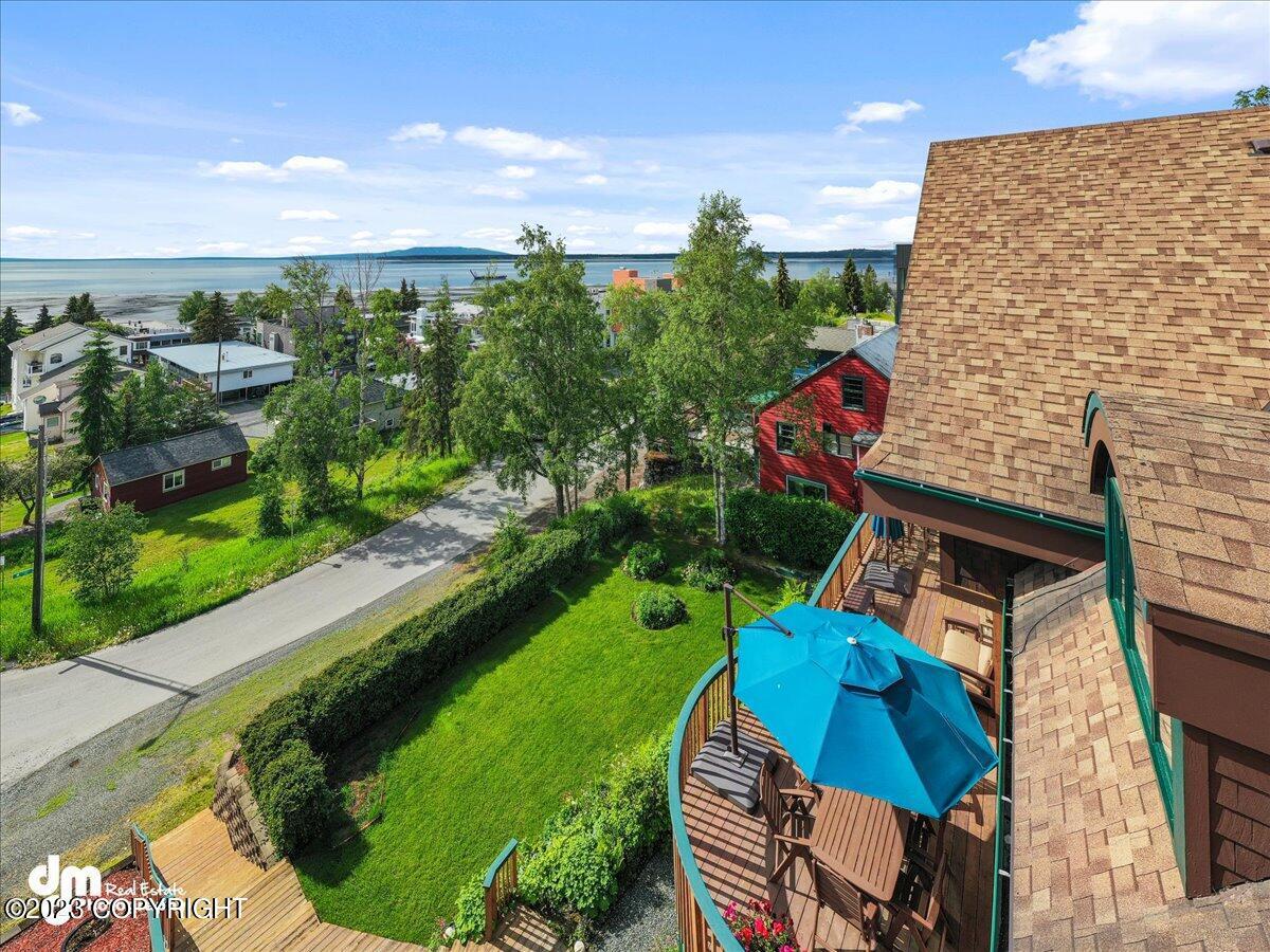 Aerial view of the backyard.