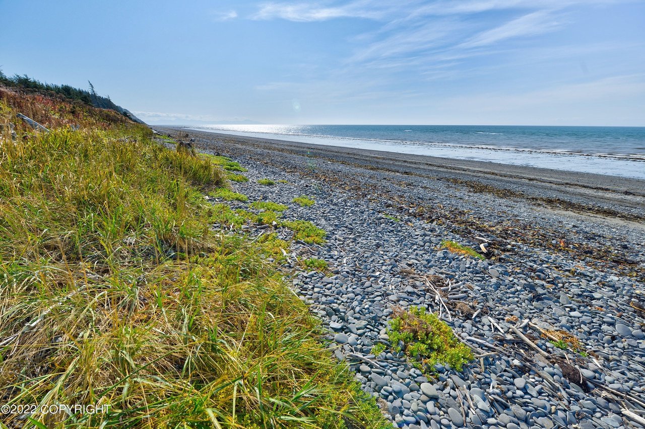 A rocky beach with grass.