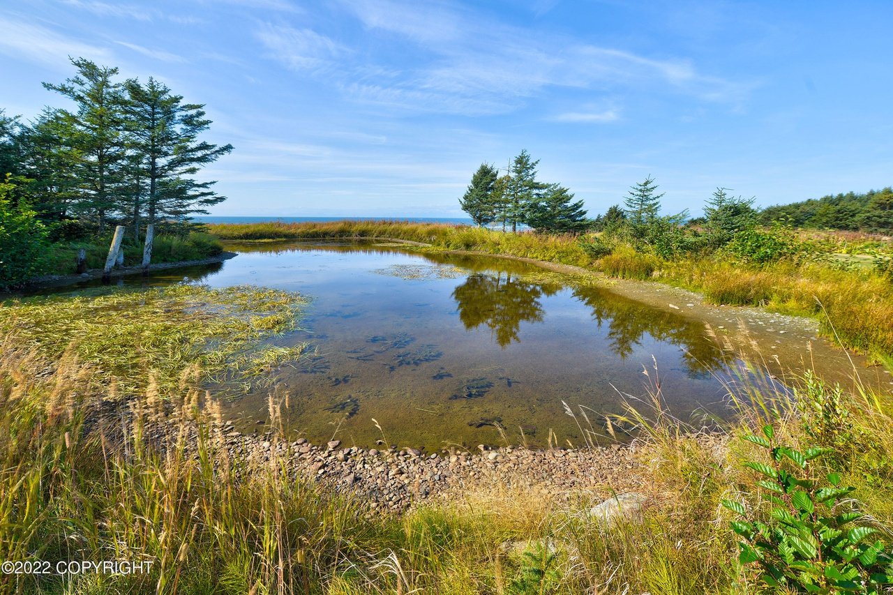 A pond in the middle of a grassy area.