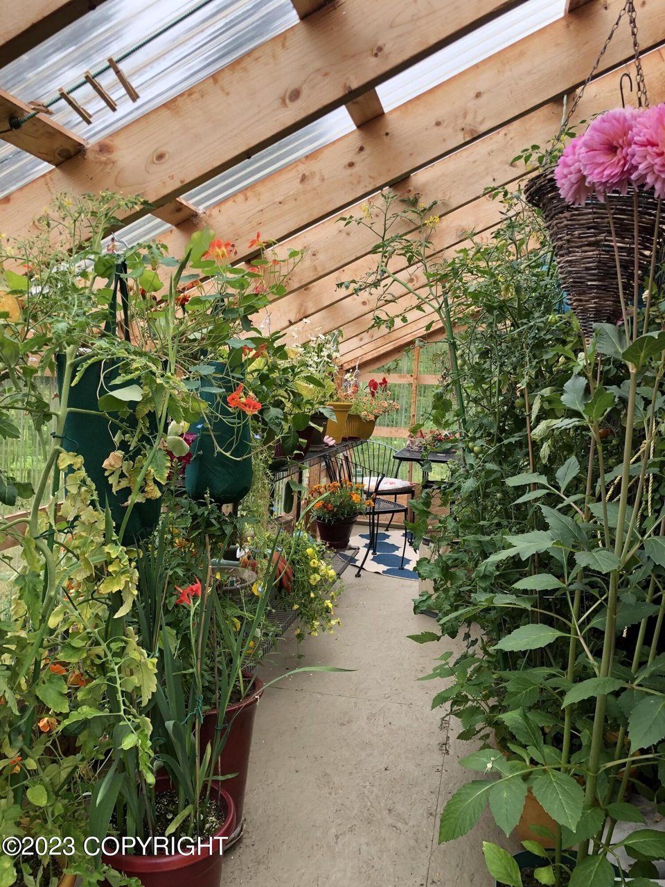 A greenhouse with lots of plants and flowers.