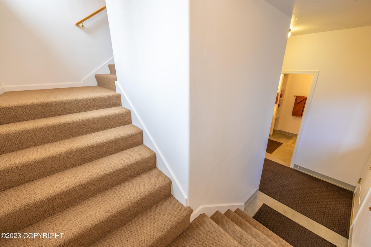Carpeted stairs