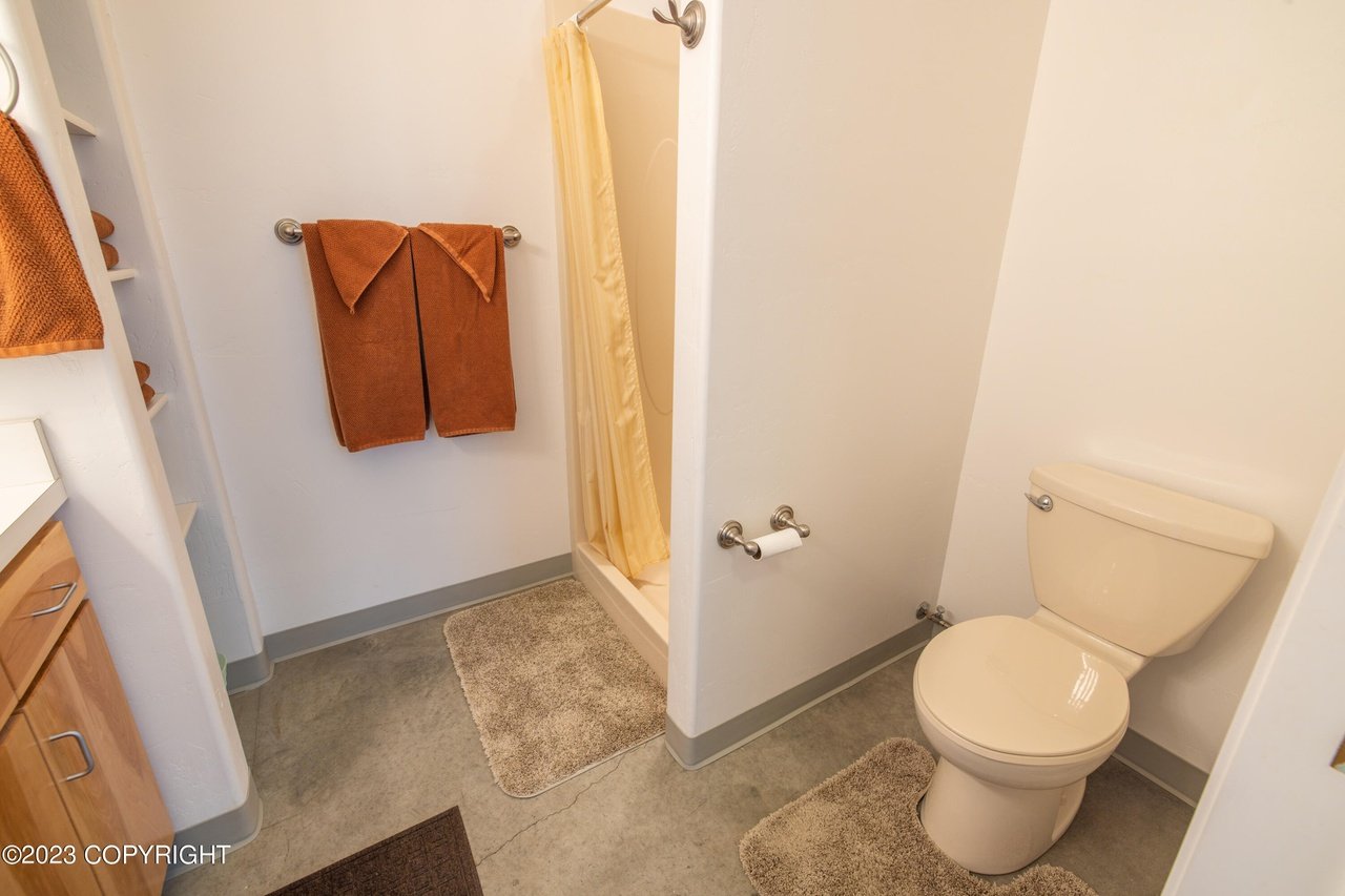 Shower and toilet