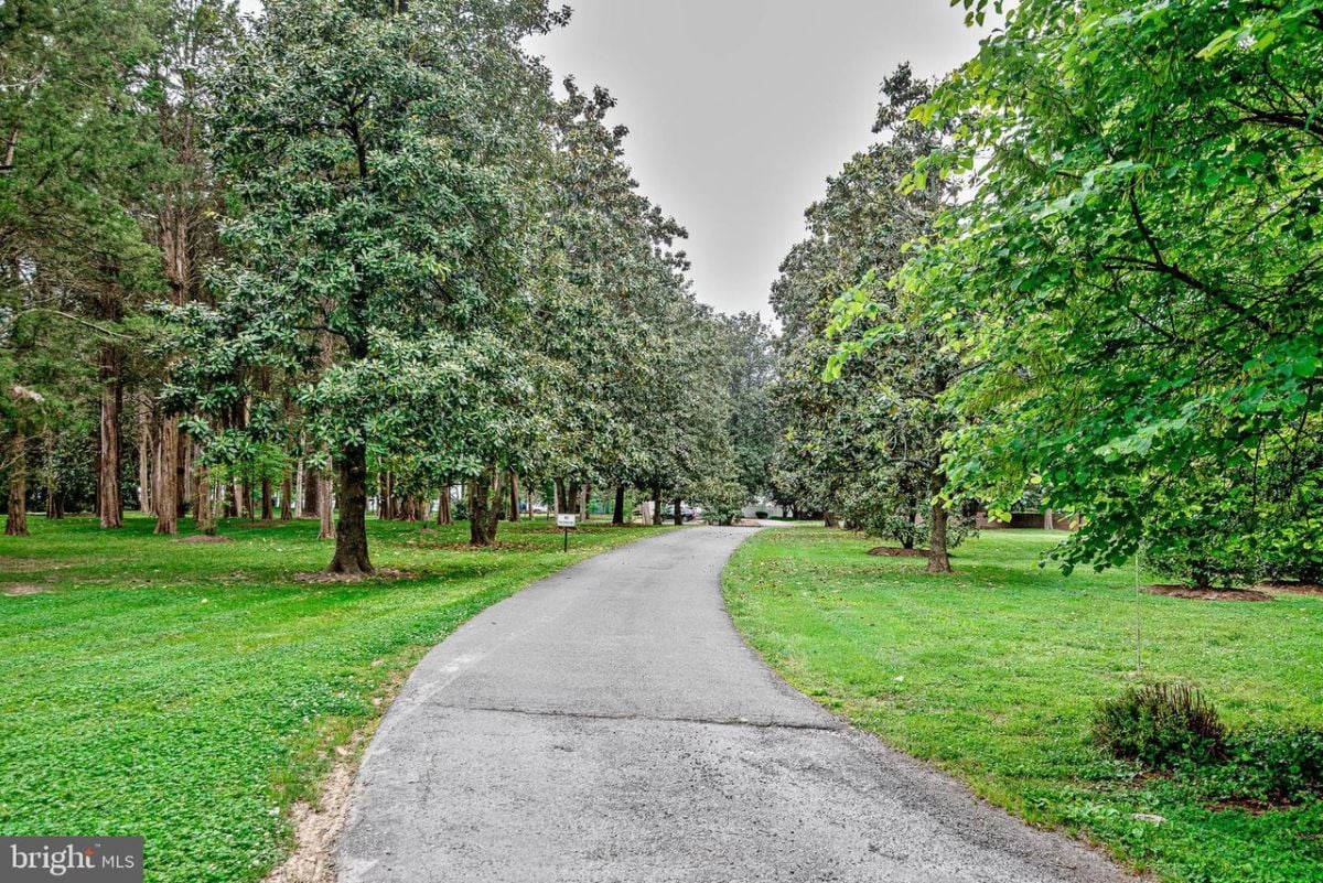 A paved road in the house with trees and grass.