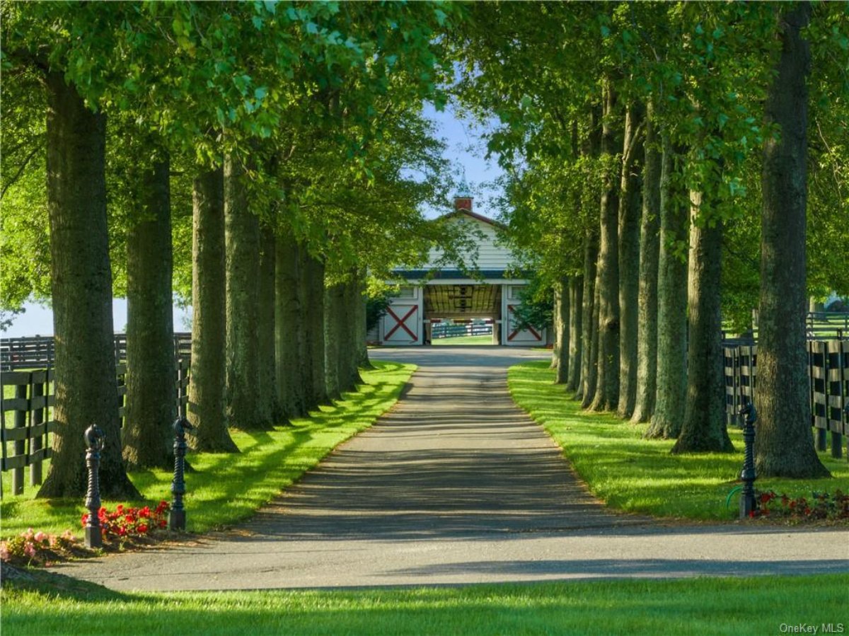 Path to the run-in shed