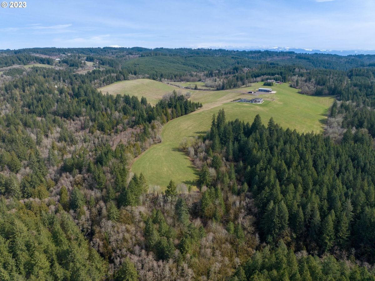Aerial view of the property.