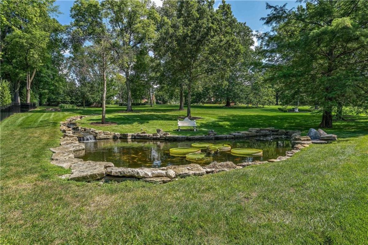 Pond