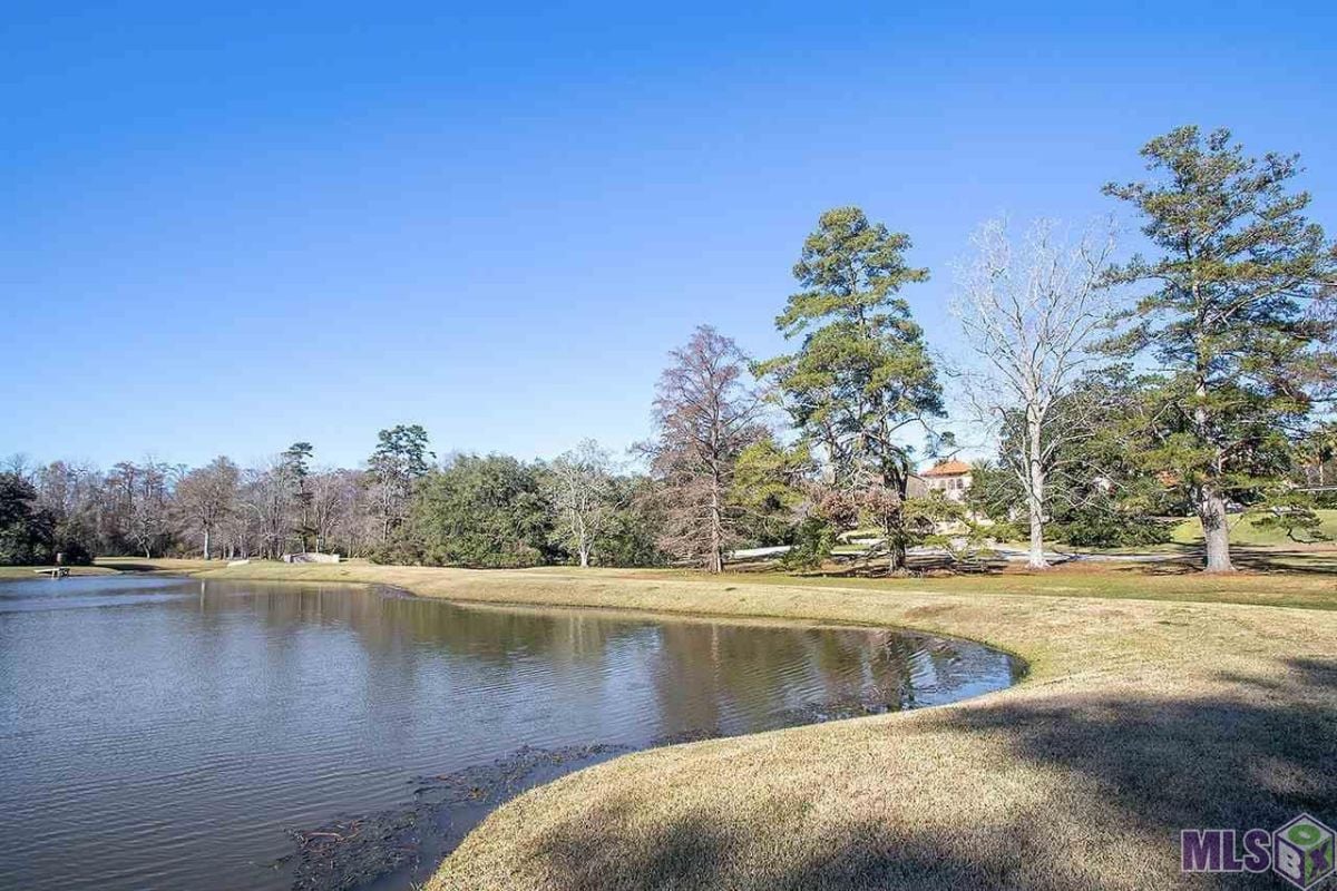 Pond