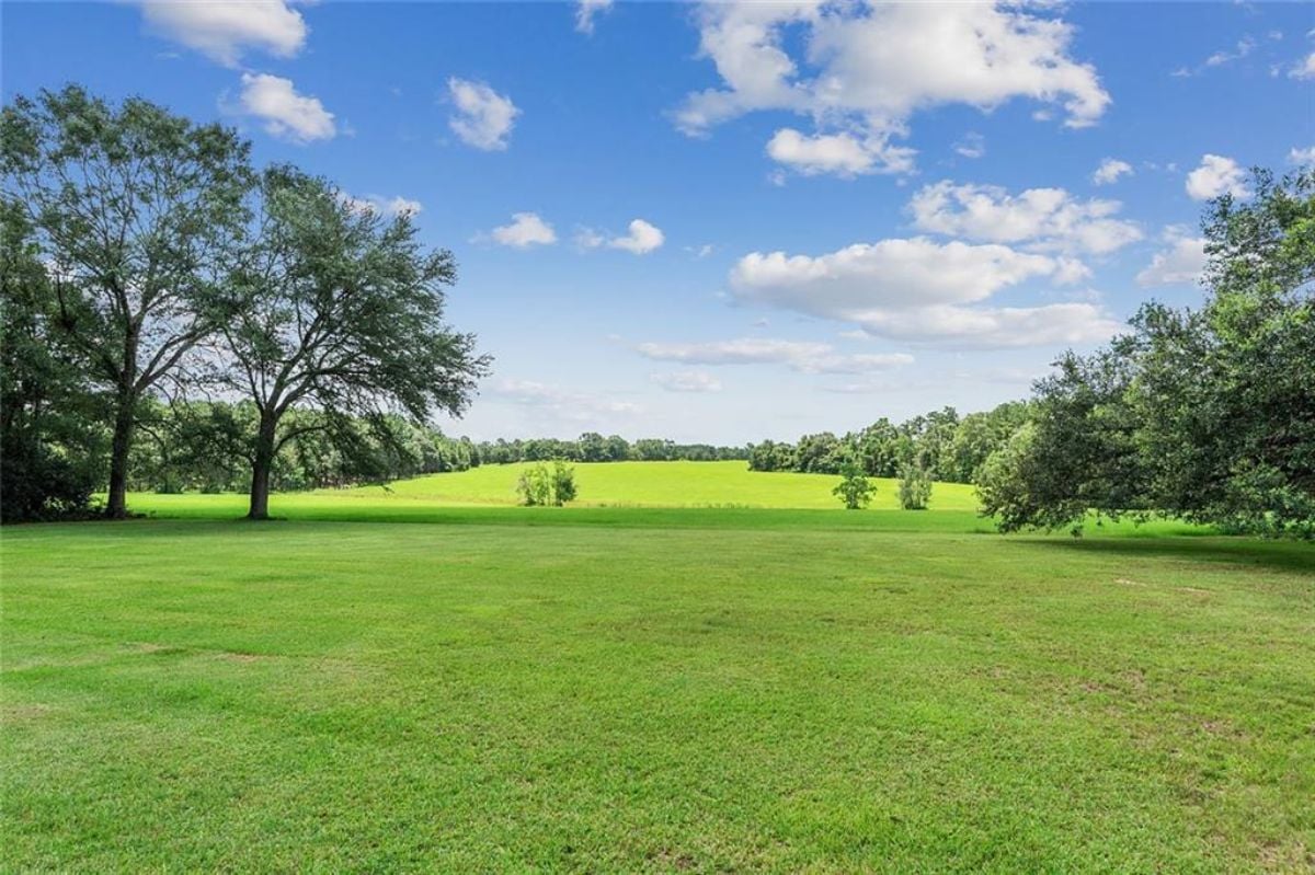 Spacious lawn