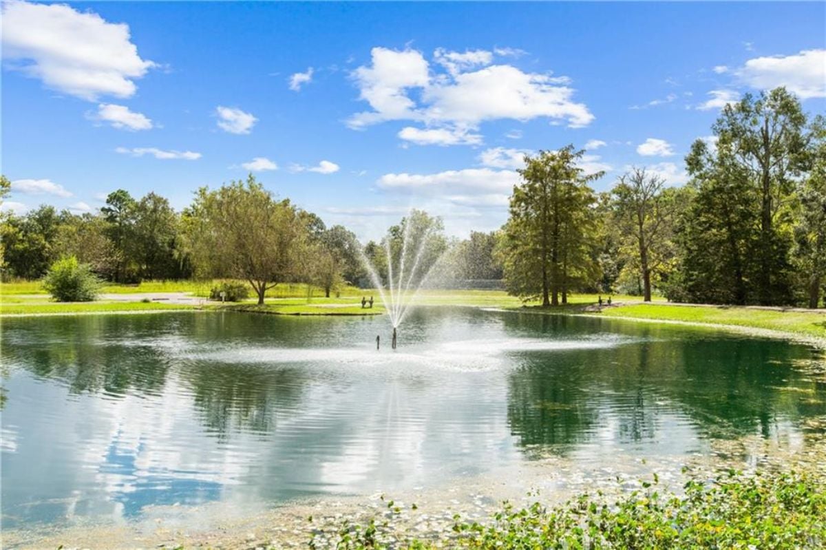 Pond