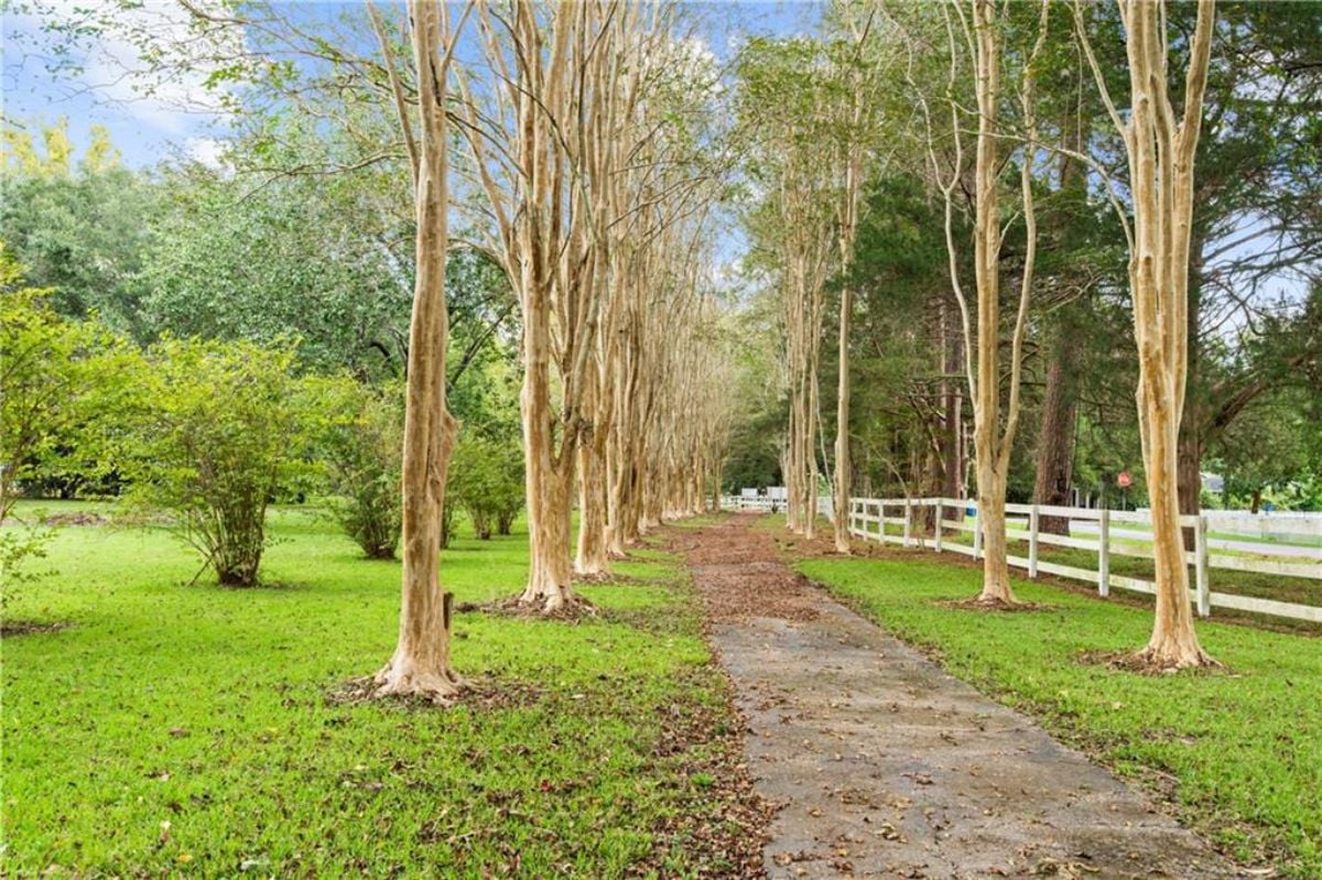 Trees