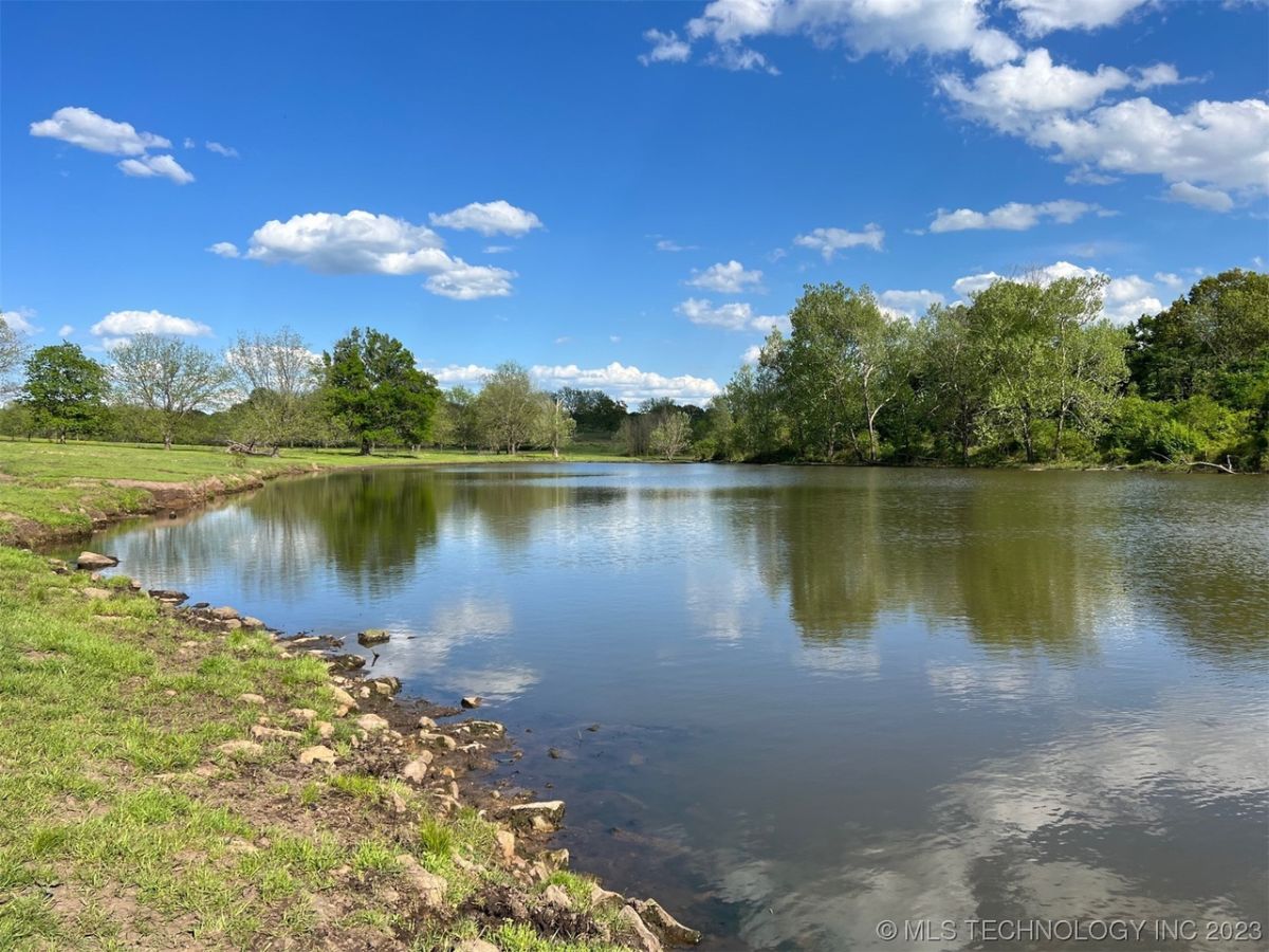 Pond