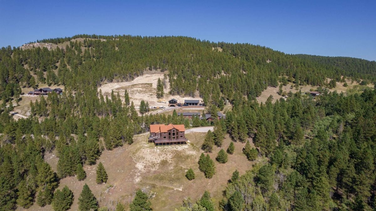 Aerial rear view of the house with trees in the background.