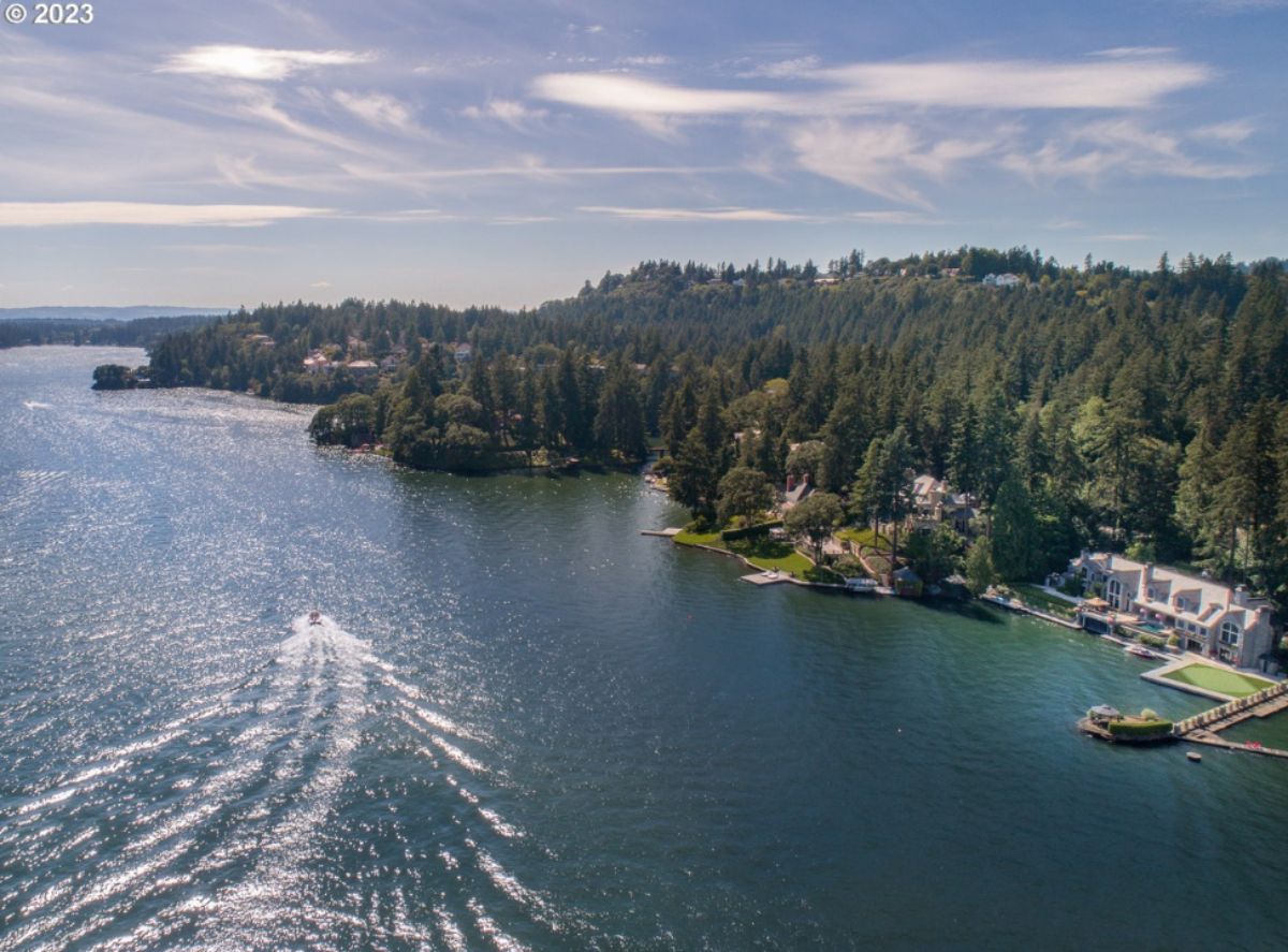 Aerial view of the mansion with a lake and trees.
