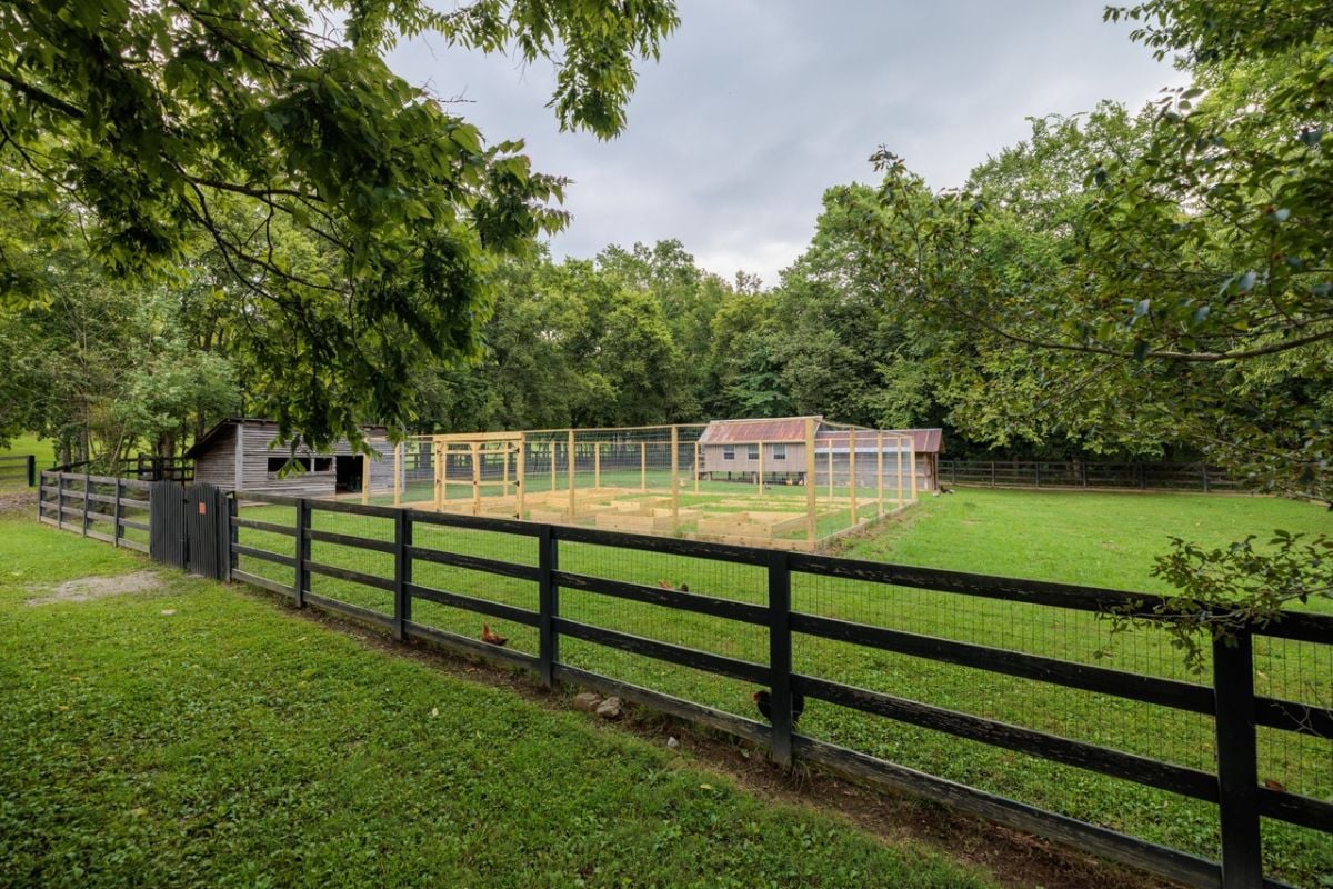 Chicken coop