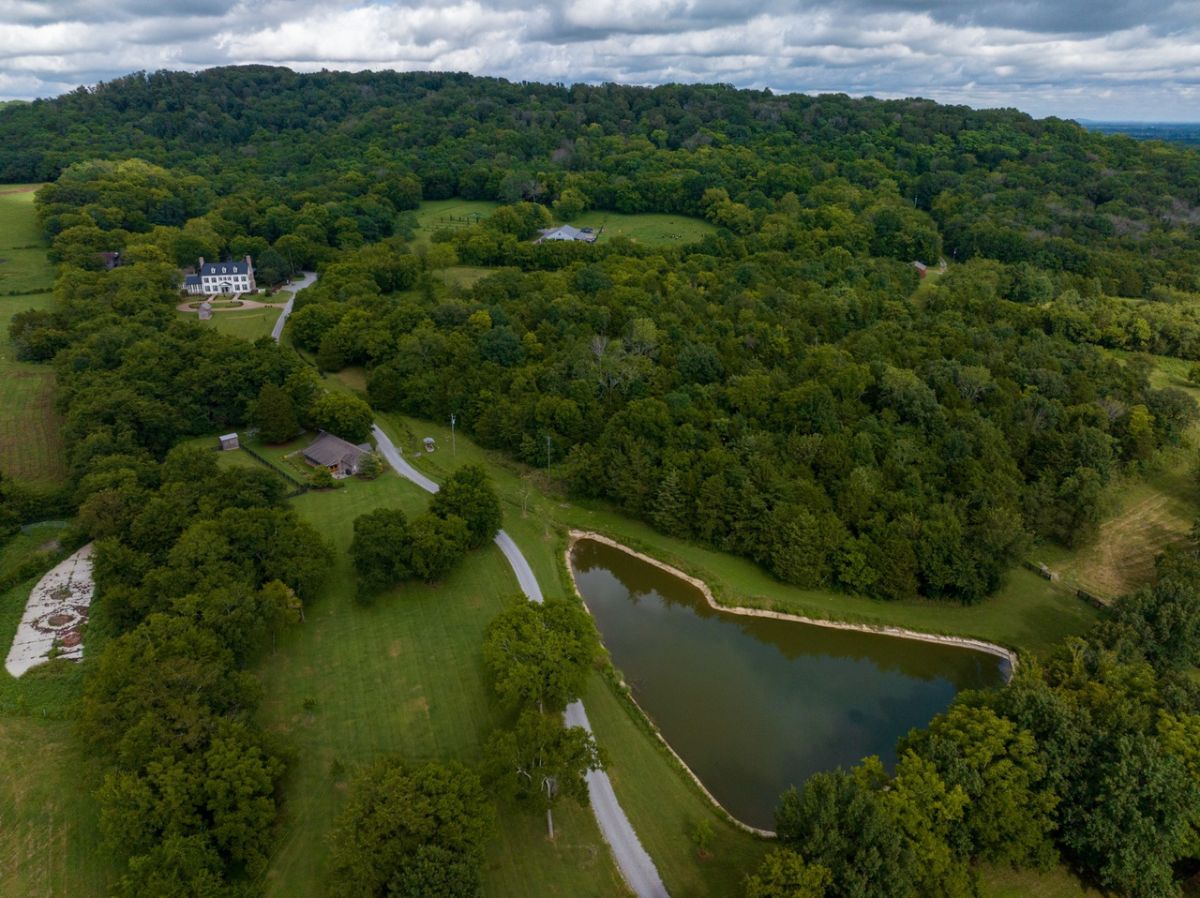 Stocked pond
