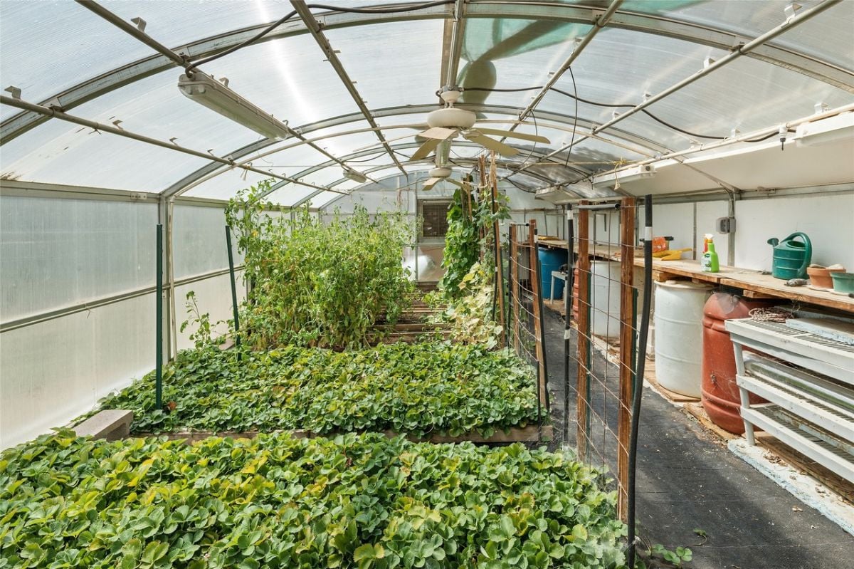 Vegetable garden