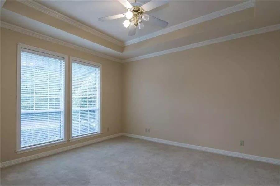 Primary suite with a tray ceiling, beige walls, and a carpeted floor.
