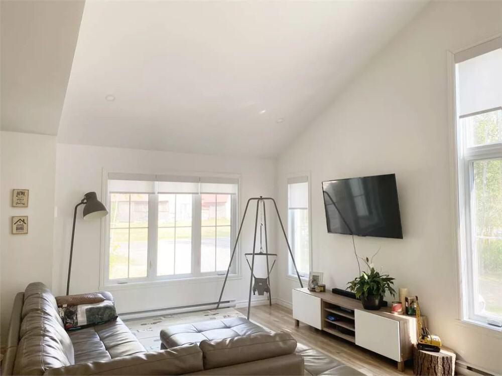 Living room with an L-shaped sofa and a wall-mounted TV under a vaulted ceiling.