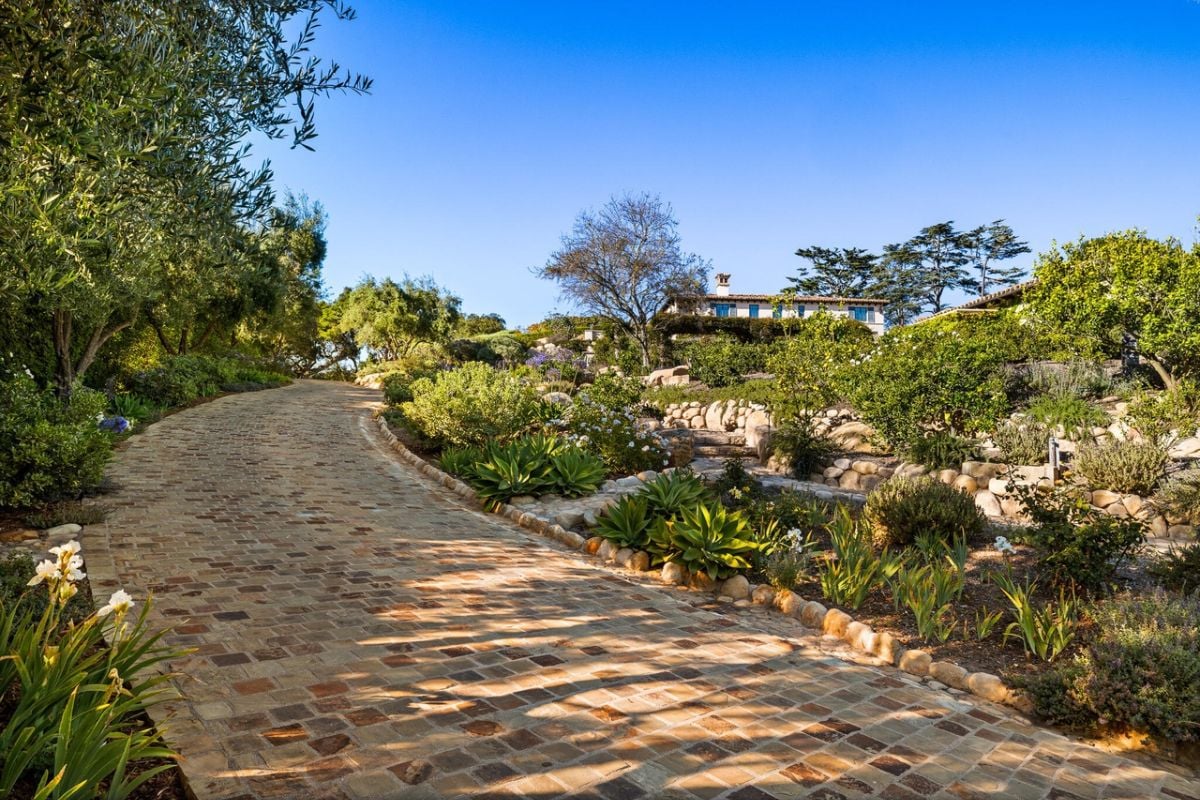 A walkway made of bricks surrounded by plants.