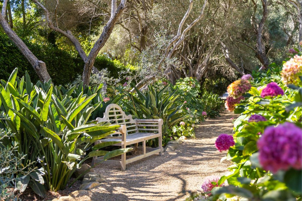 A walkway surrounded by plants.