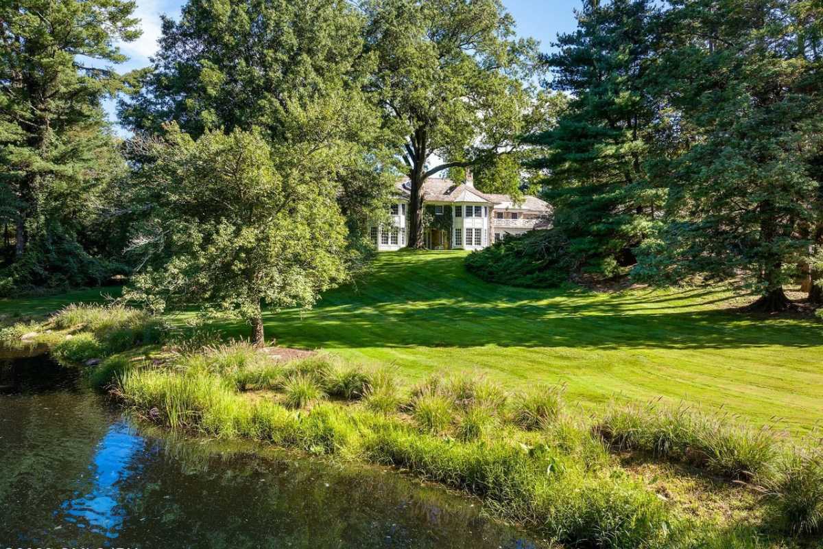 A driveway covered in grass and lined with trees.